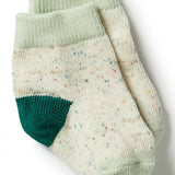 3 Pack Baby Socks- Deep Sea/ Pistachio/ Oatmeal AW23